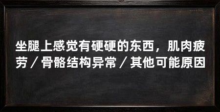 坐腿上感觉有硬硬的东西，肌肉疲劳／骨骼结构异常／其他可能原因