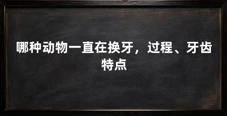 哪种动物一直在换牙，过程、牙齿特点