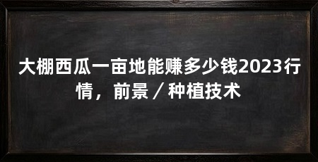 大棚西瓜一亩地能赚多少钱2023行情，前景／种植技术