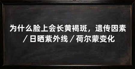 为什么脸上会长黄褐斑,遗传因素/日晒紫外线/荷尔蒙变化