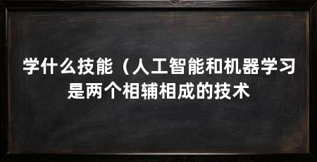 学什么技能（人工智能和机器学习是两个相辅相成的技术