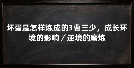 坏蛋是怎样炼成的3曹三少，成长环境的影响／逆境的磨炼