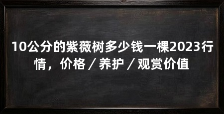 10公分的紫薇树多少钱一棵2023行情,价格/养护/观赏价值
