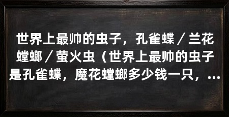 世界上最帅的虫子，孔雀蝶／兰花螳螂／萤火虫（世界上最帅的虫子是孔雀蝶，魔花螳螂多少钱一只，售价三千元