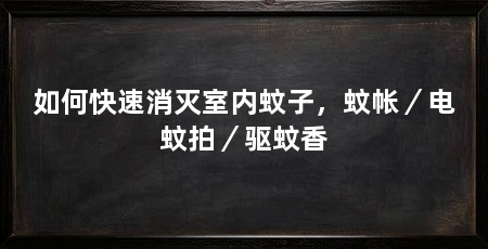 如何快速消灭室内蚊子,蚊帐/电蚊拍/驱蚊香