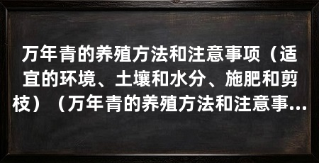 万年青的养殖方法和注意事项(适宜的环境、土壤和水分、施肥和剪枝)(万年青的养殖方法和注意事项,你知道吗