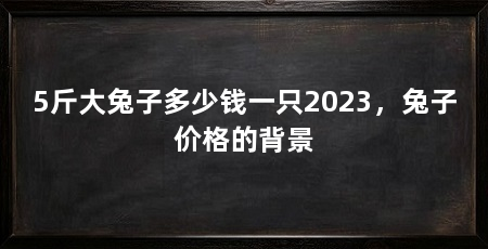 5斤大兔子多少钱一只2023,兔子价格的背景
