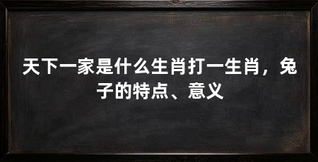 天下一家是什么生肖打一生肖，兔子的特点、意义