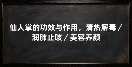 仙人掌的功效与作用，清热解毒／润肺止咳／美容养颜