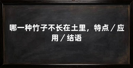 哪一种竹子不长在土里，特点／应用／结语