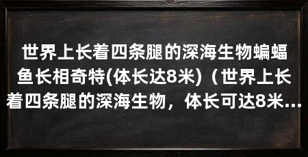 世界上长着四条腿的深海生物蝙蝠鱼长相奇特(体长达8米)（世界上长着四条腿的深海生物，体长可达8米，体长可达1.4吨