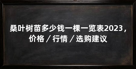 桑叶树苗多少钱一棵一览表2023,价格/行情/选购建议