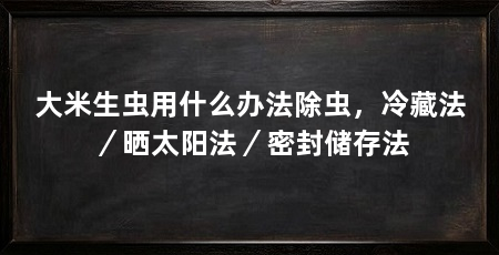 大米生虫用什么办法除虫，冷藏法／晒太阳法／密封储存法