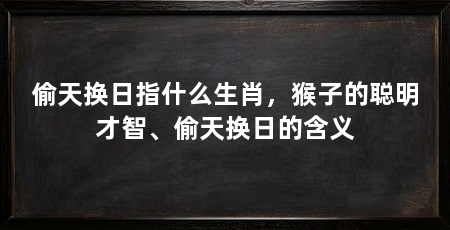 偷天换日指什么生肖,猴子的聪明才智、偷天换日的含义