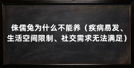 侏儒兔为什么不能养(疾病易发、生活空间限制、社交需求无法满足)