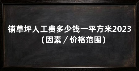 铺草坪人工费多少钱一平方米2023(因素/价格范围)