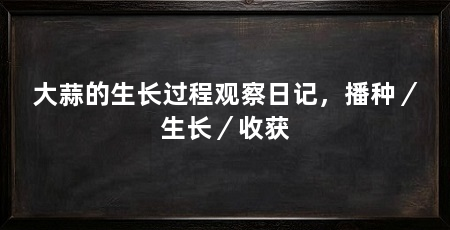 大蒜的生长过程观察日记,播种/生长/收获