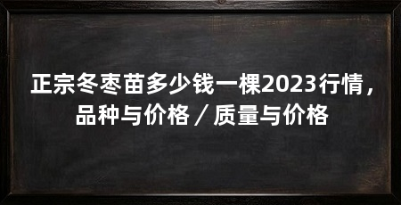正宗冬枣苗多少钱一棵2023行情，品种与价格／质量与价格