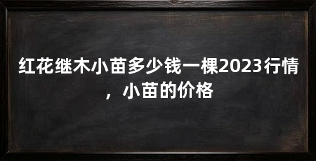 红花继木小苗多少钱一棵2023行情,小苗的价格