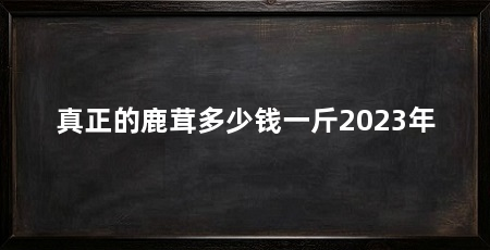 真正的鹿茸多少钱一斤2023年