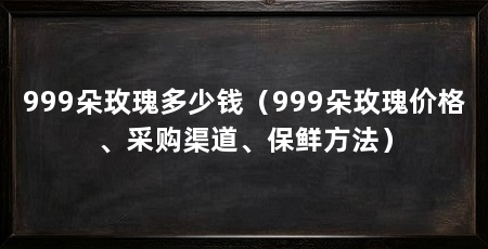 999朵玫瑰多少钱(999朵玫瑰价格、采购渠道、保鲜方法)