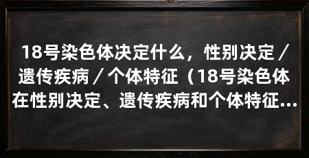 18号染色体决定什么,性别决定/遗传疾病/个体特征(18号染色体在性别决定、遗传疾病和个体特征等方面起着重要的作用