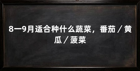 8一9月适合种什么蔬菜,番茄/黄瓜/菠菜