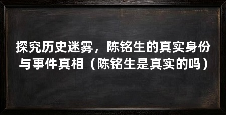 探究历史迷雾，陈铭生的真实身份与事件真相（陈铭生是真实的吗）