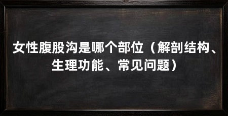 女性腹股沟是哪个部位(解剖结构、生理功能、常见问题)