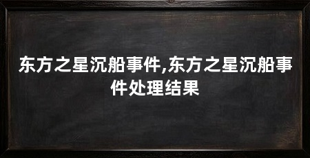 东方之星沉船事件,东方之星沉船事件处理结果