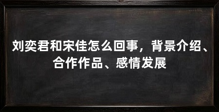 刘奕君和宋佳怎么回事,背景介绍、合作作品、感情发展