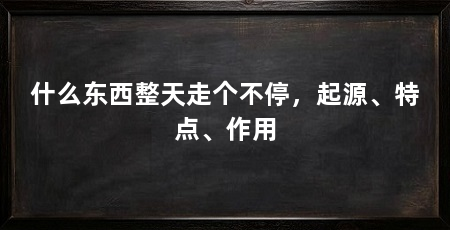 什么东西整天走个不停,起源、特点、作用