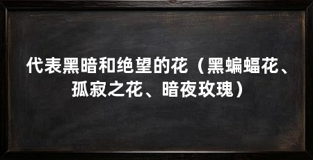 代表黑暗和绝望的花(黑蝙蝠花、孤寂之花、暗夜玫瑰)
