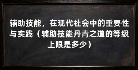 辅助技能，在现代社会中的重要性与实践（辅助技能丹青之道的等级上限是多少）