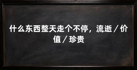 什么东西整天走个不停，流逝／价值／珍贵