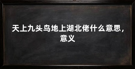 天上九头鸟地上湖北佬什么意思，意义
