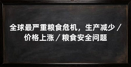 全球最严重粮食危机，生产减少／价格上涨／粮食安全问题