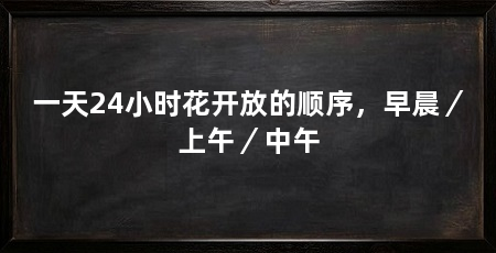 一天24小时花开放的顺序，早晨／上午／中午
