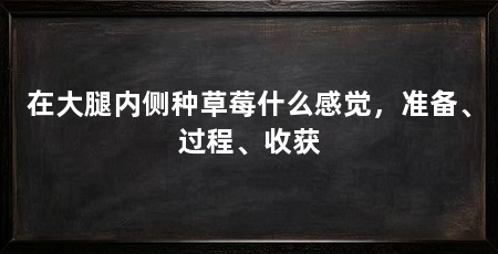 在大腿内侧种草莓什么感觉,准备、过程、收获