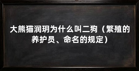 大熊猫润玥为什么叫二狗（繁殖的养护员、命名的规定）