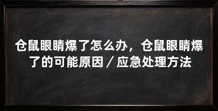 仓鼠眼睛爆了怎么办，仓鼠眼睛爆了的可能原因／应急处理方法