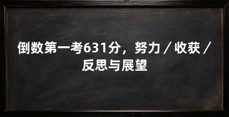 倒数第一考631分,努力/收获/反思与展望