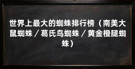 世界上最大的蜘蛛排行榜(南美大鼠蜘蛛/葛氏鸟蜘蛛/黄金橙腿蜘蛛)