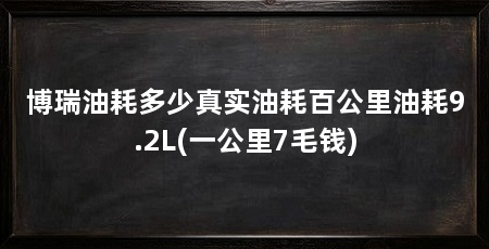 博瑞油耗多少真实油耗百公里油耗9.2L(一公里7毛钱)