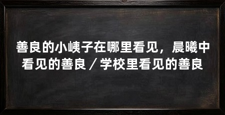 善良的小峓子在哪里看见,晨曦中看见的善良/学校里看见的善良