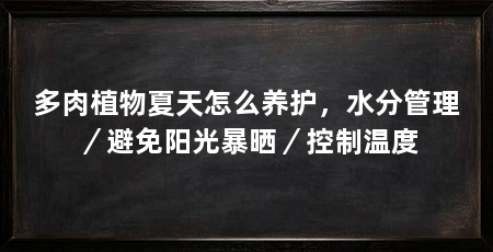 多肉植物夏天怎么养护，水分管理／避免阳光暴晒／控制温度