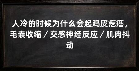 人冷的时候为什么会起鸡皮疙瘩，毛囊收缩／交感神经反应／肌肉抖动