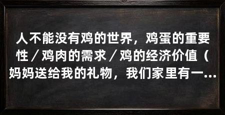 人不能没有鸡的世界,鸡蛋的重要性/鸡肉的需求/鸡的经济价值(妈妈送给我的礼物,我们家里有一只大公鸡,那就是妈妈送给我的礼物