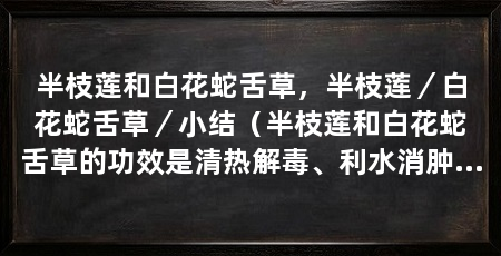 半枝莲和白花蛇舌草，半枝莲／白花蛇舌草／小结（半枝莲和白花蛇舌草的功效是清热解毒、利水消肿的功效