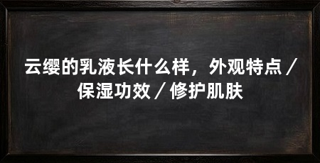 云缨的乳液长什么样，外观特点／保湿功效／修护肌肤